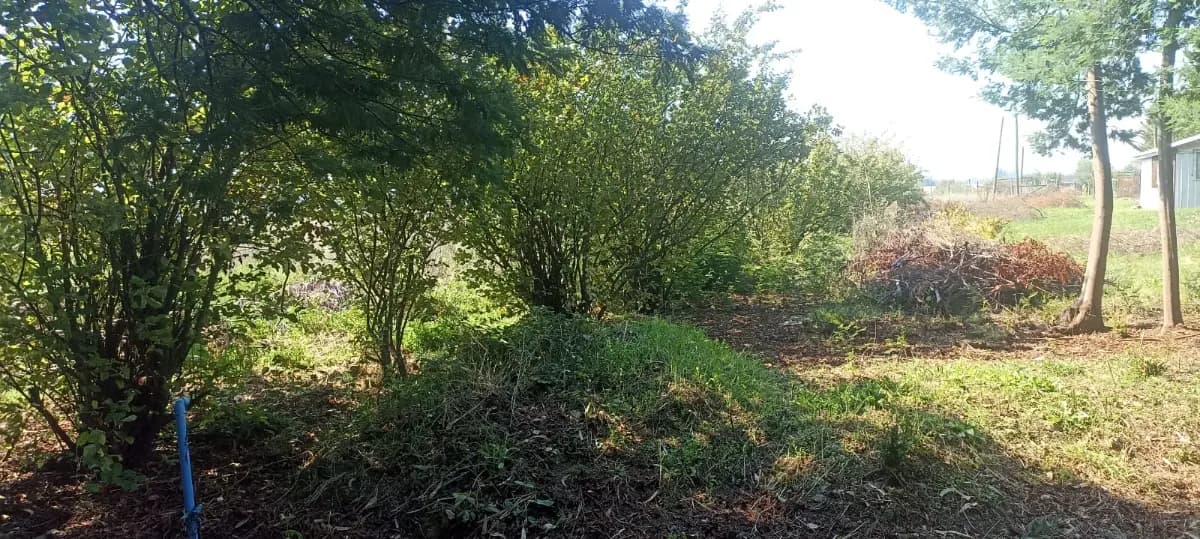 El Guape, Chillán, Región de Ñuble, Chile