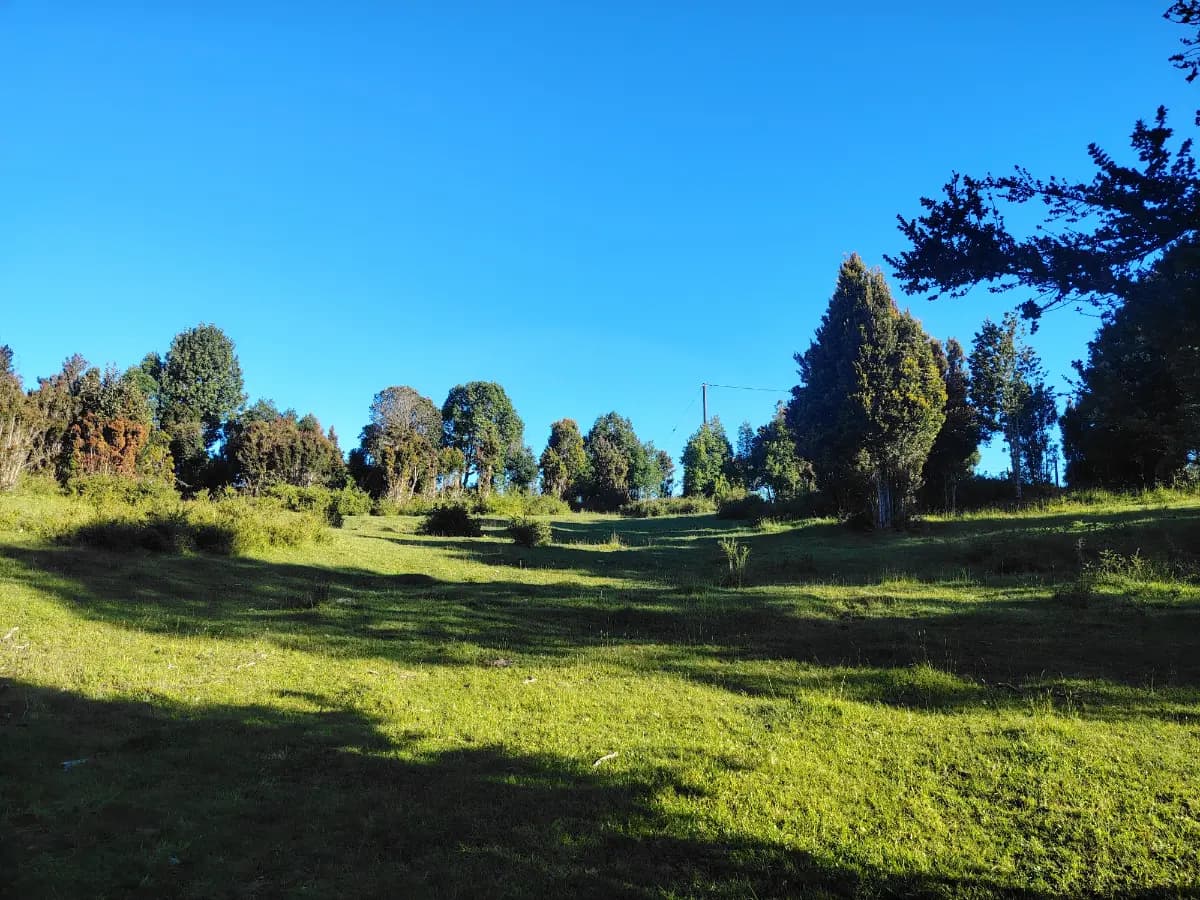 Ruta T-362, Valdivia, Región de Los Ríos 5090000, Chile