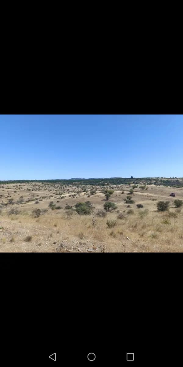 Lote 2, Maule, Región del Maule 3530000, Chile