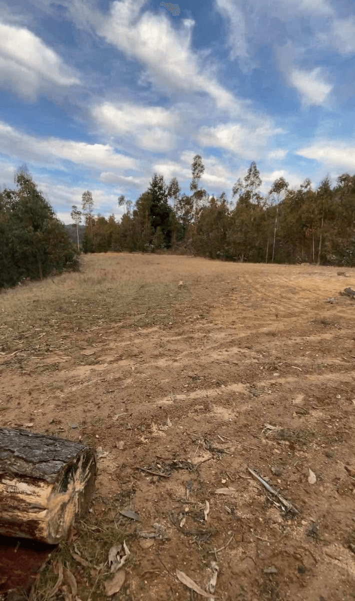 Coyancahuín, Purén, Región de La Araucanía, Chile