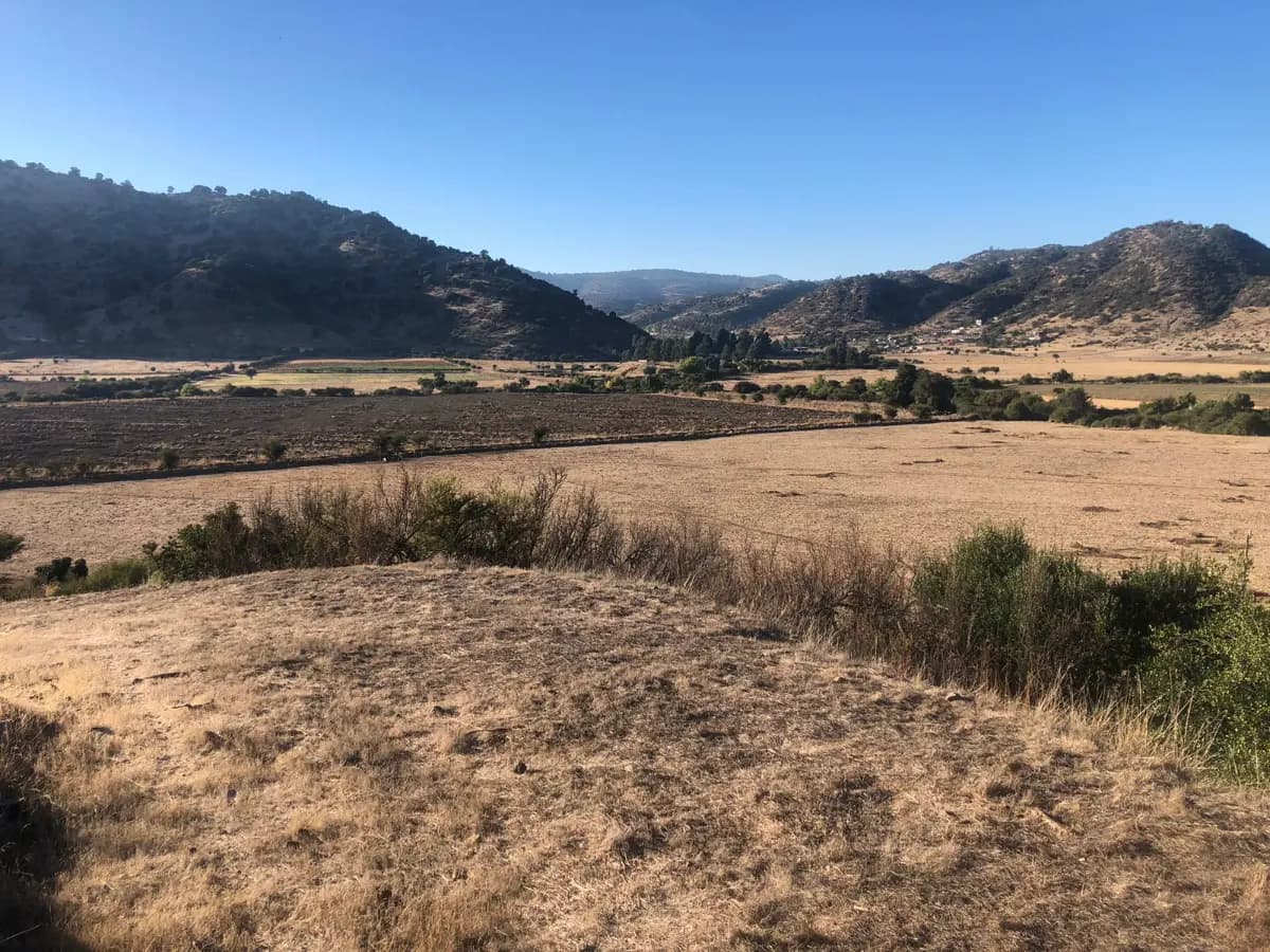 Panamá, Santa Cruz, Región de O'Higgins, Chile