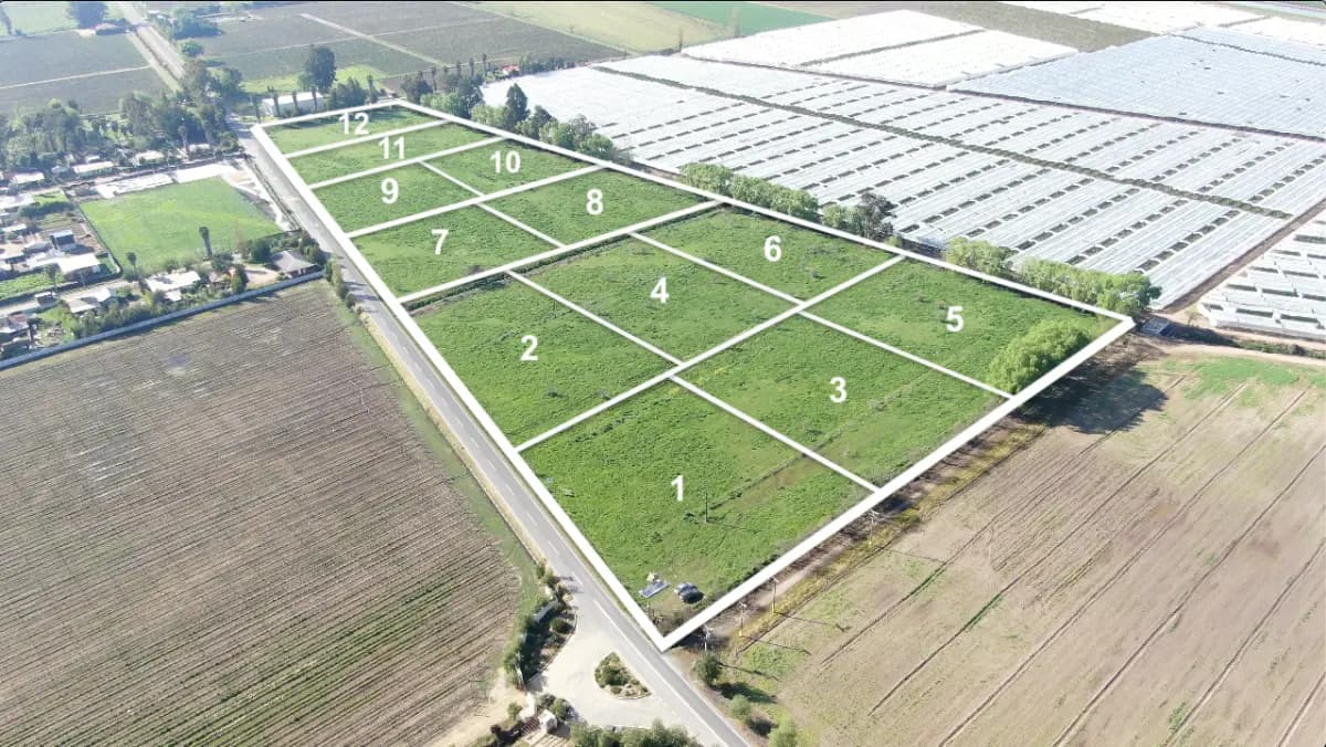 Apalta, Santa Cruz, Región de O'Higgins 3130000, Chile