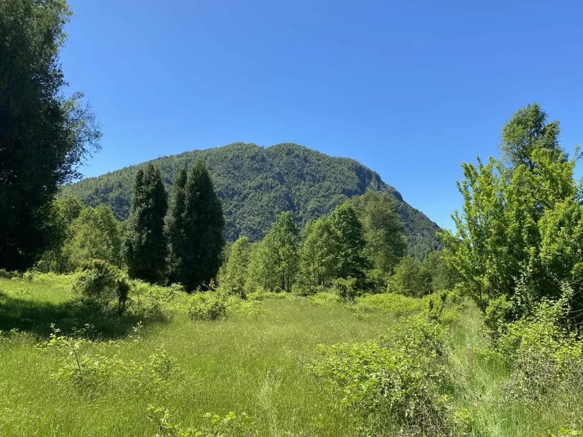 Termas de Huife, Pucón, Región de La Araucanía 4920000, Chile