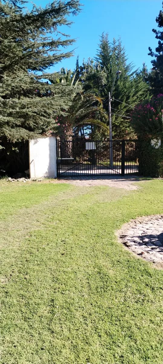 Avenida Calera de Tango, San Bernardo, Región Metropolitana de Santiago 8050000, Chile
