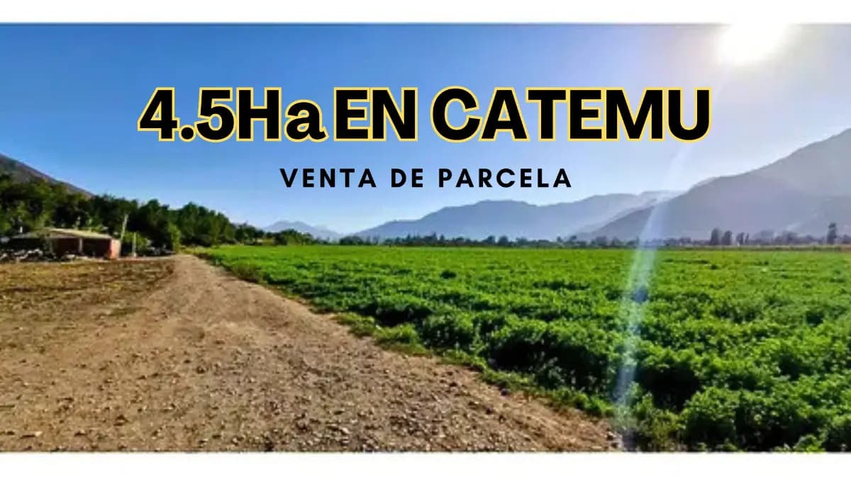 Las Varillas, Catemu, Región de Valparaíso 2230000, Chile