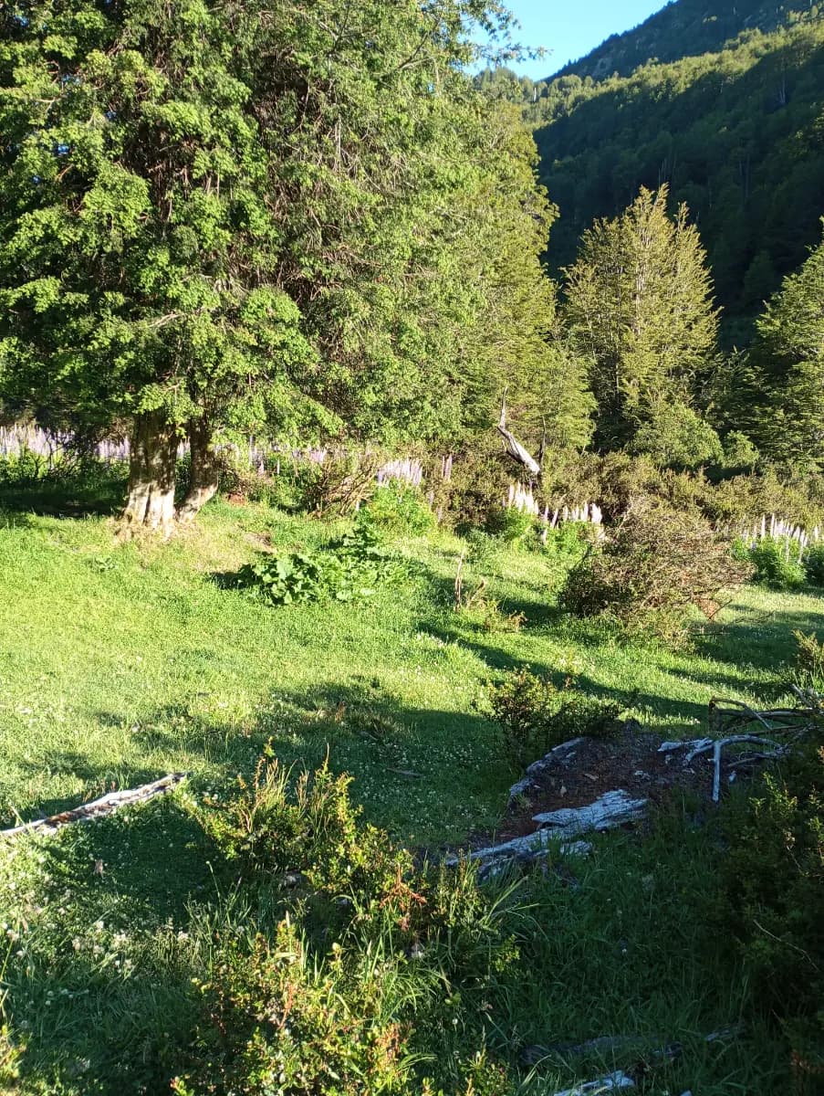 Futaleufú, Región de Los Lagos, Chile