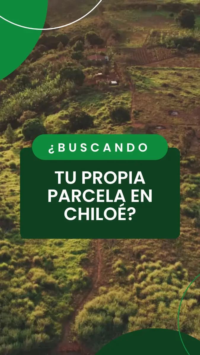 Los Canelos, Ancud, Región de Los Lagos 5710000, Chile