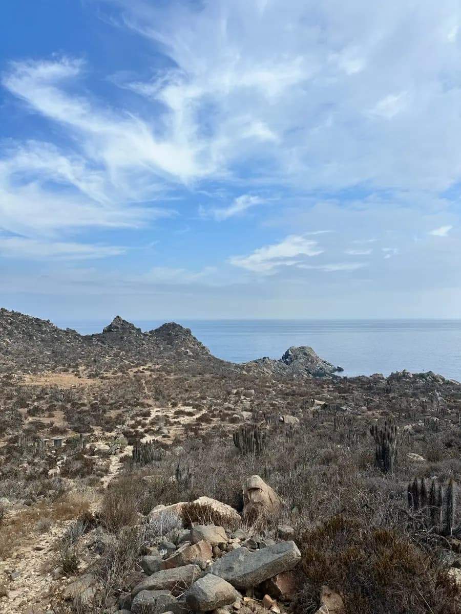 El Panul, Coquimbo, Región de Coquimbo 1780000, Chile