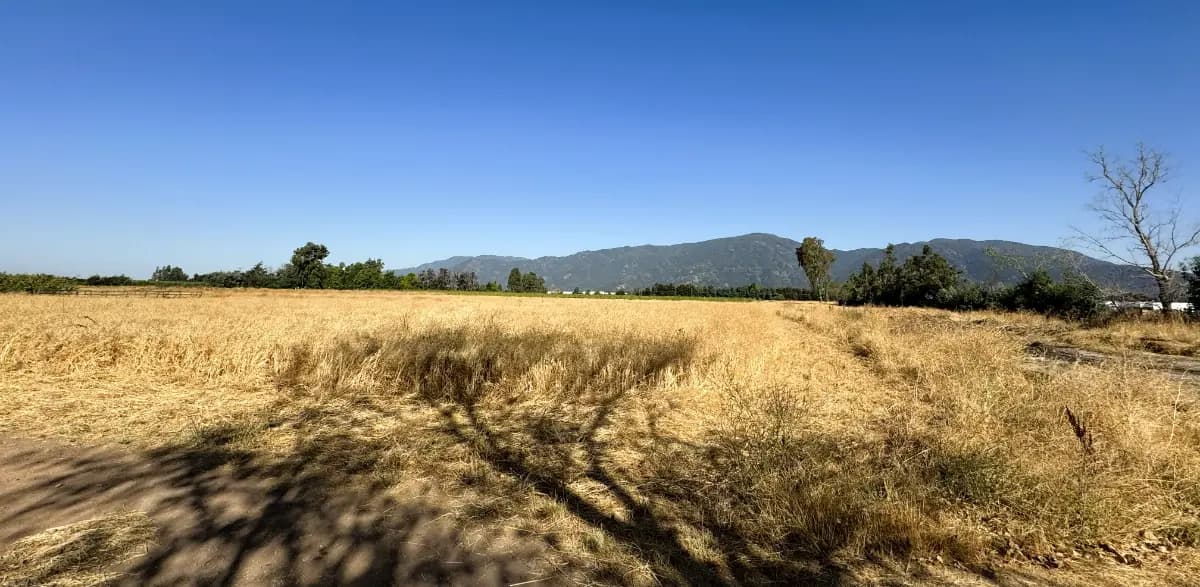 Camino La Paloma, San Fernando, Región de O'Higgins 3070000, Chile