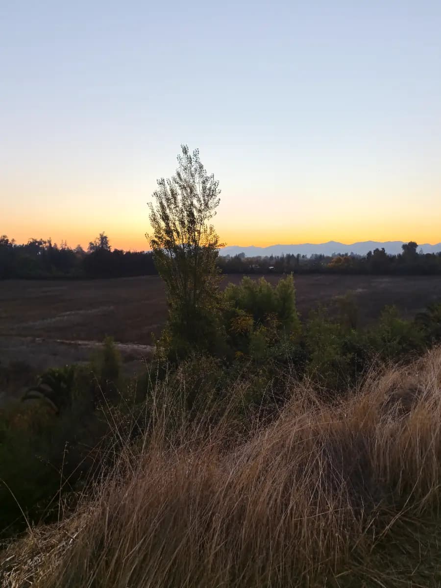 Lonquen Sur, Calera de Tango, Región Metropolitana de Santiago 9560000, Chile