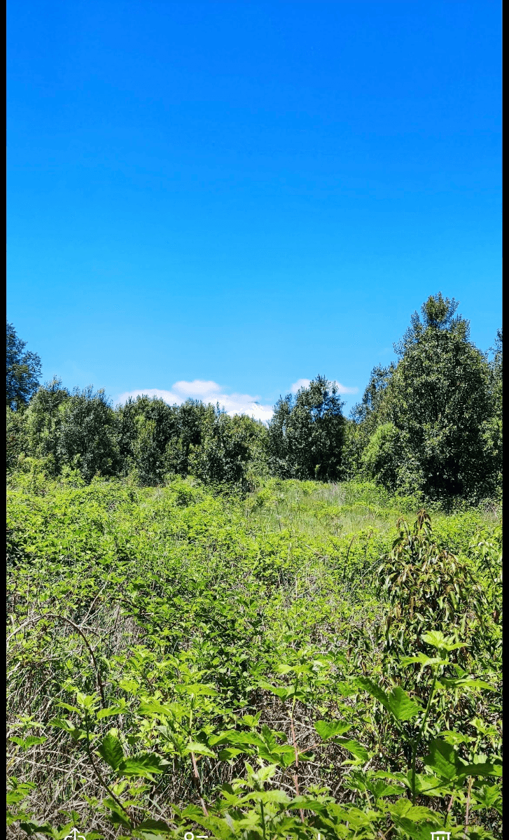 Villarrica, Región de La Araucanía, Chile