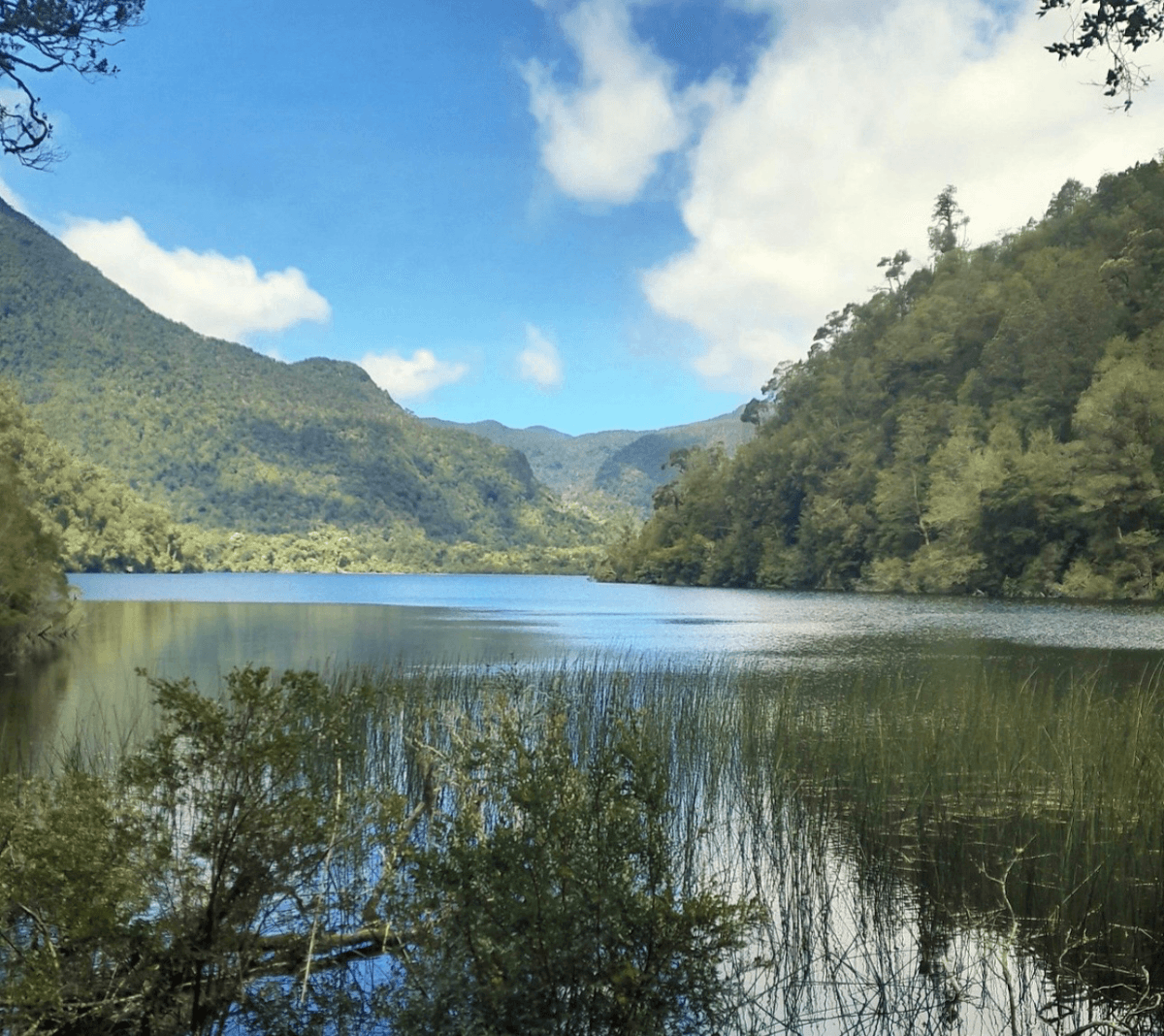 Parque Alerce Andino, Puerto Montt, Región de Los Lagos 5480000, Chile