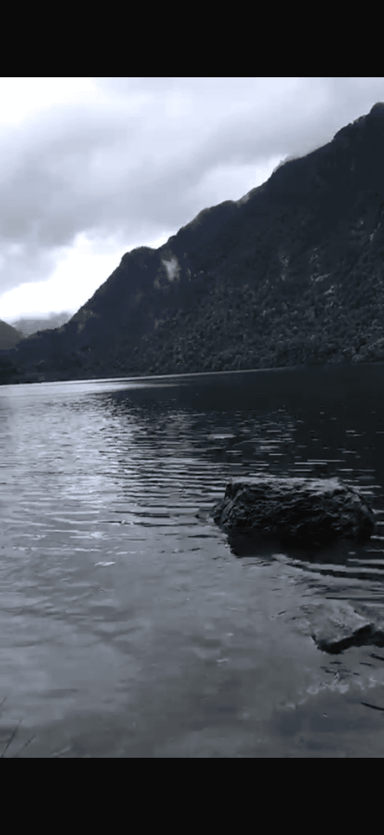Parque Alerce Andino, Puerto Montt, Región de Los Lagos 5480000, Chile