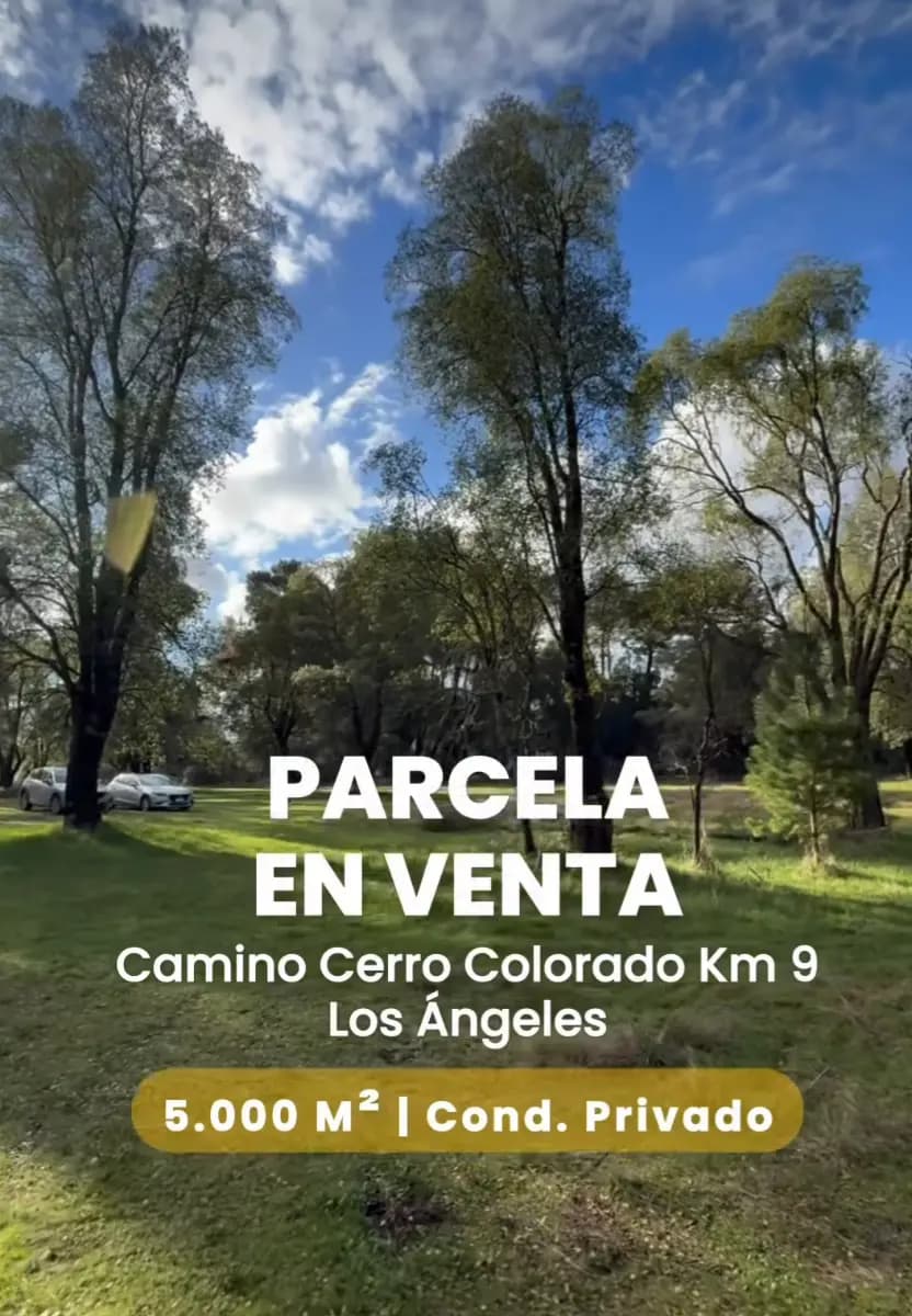 Cerro Colorado, Los Ángeles, Región del Biobío, Chile