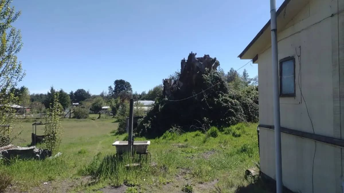 Camino local Obras de Río Claro, Yumbel, Región del Biobío 4580000, Chile