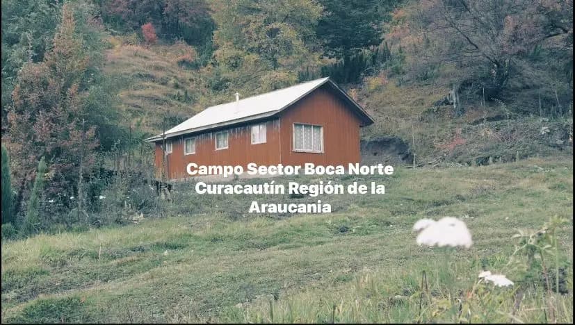 Camino Caracoles, Curacautín, Región de La Araucanía 4700000, Chile