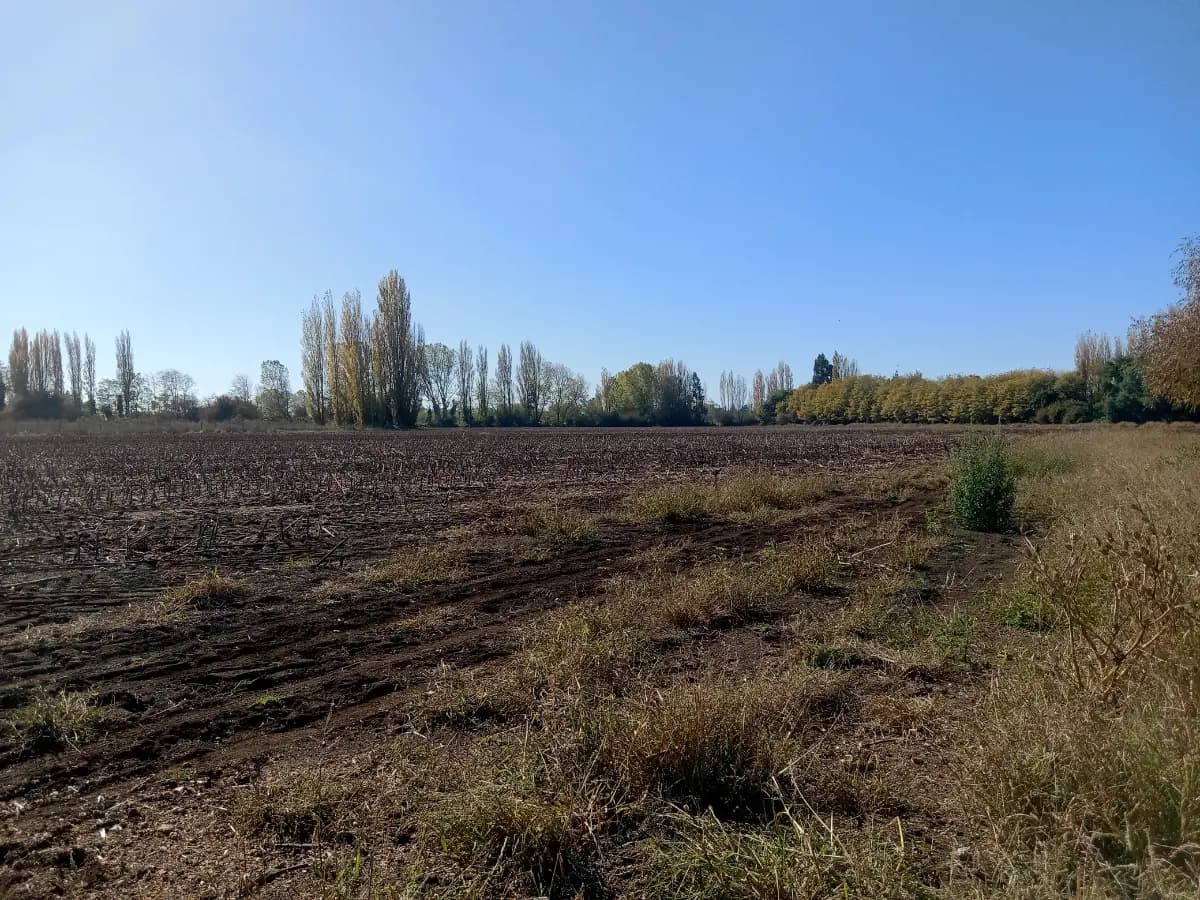 Camino Antuco, Los Ángeles, Región del Biobío 4440000, Chile