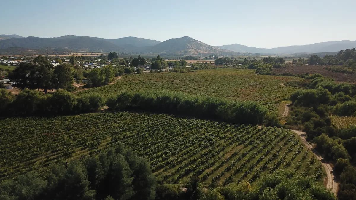 Loncomilla, San Javier, Región del Maule 3660000, Chile