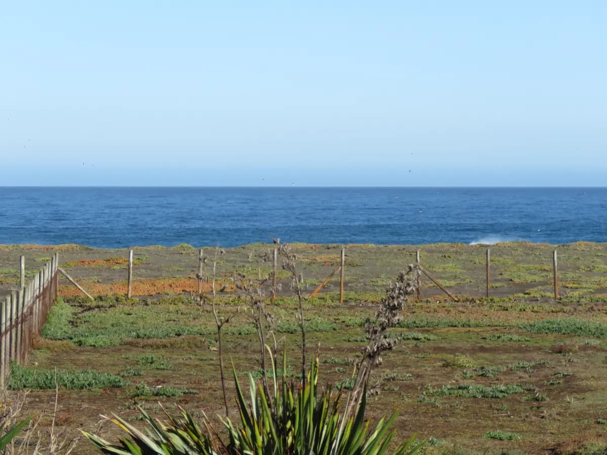 Cobquecura, Región de Ñuble, Chile