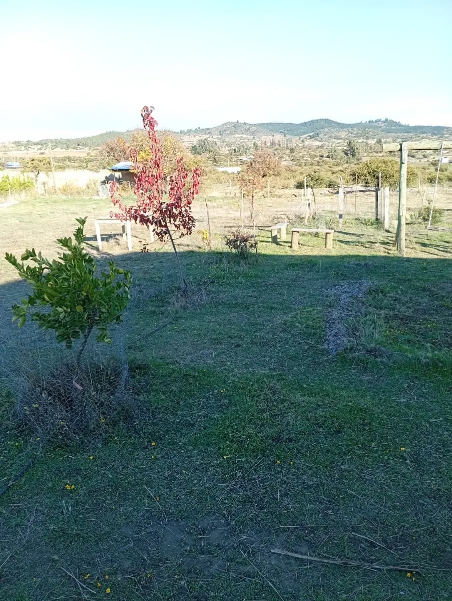 Chicalindo, San Carlos, Región de Ñuble 3840000, Chile