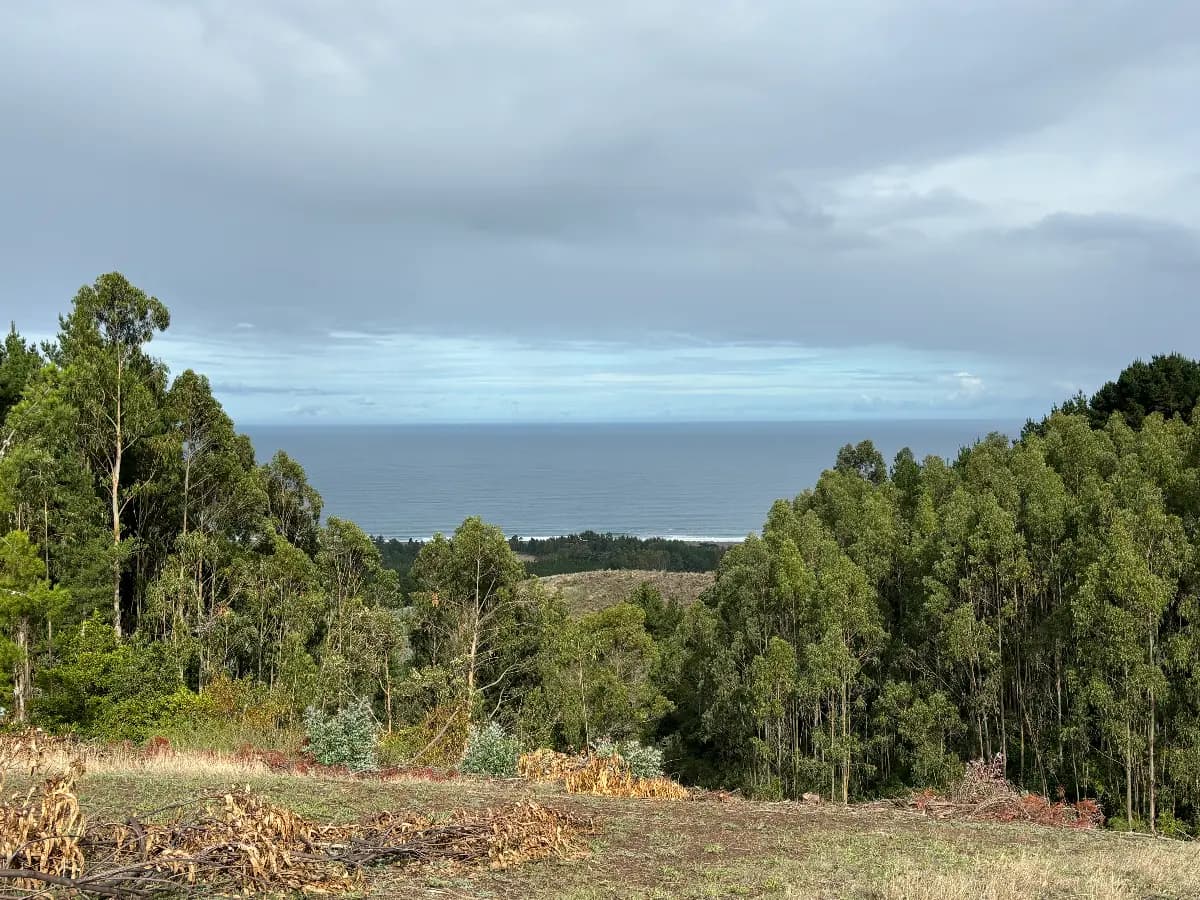 Cobquecura, Región de Ñuble, 3990000, Chile