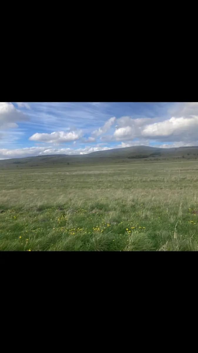 Ruta 253 CH, Natales, Región de Magallanes y de la Antártica Chilena 6160000, Chile
