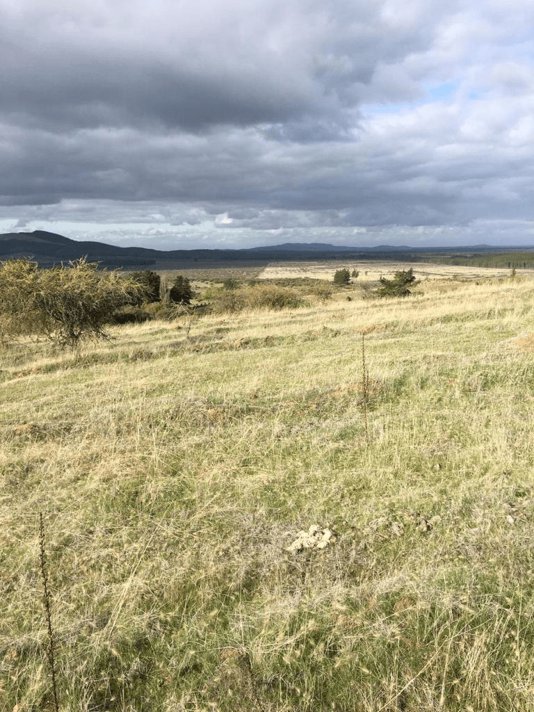 Cauquenes, Región del Maule, Chile