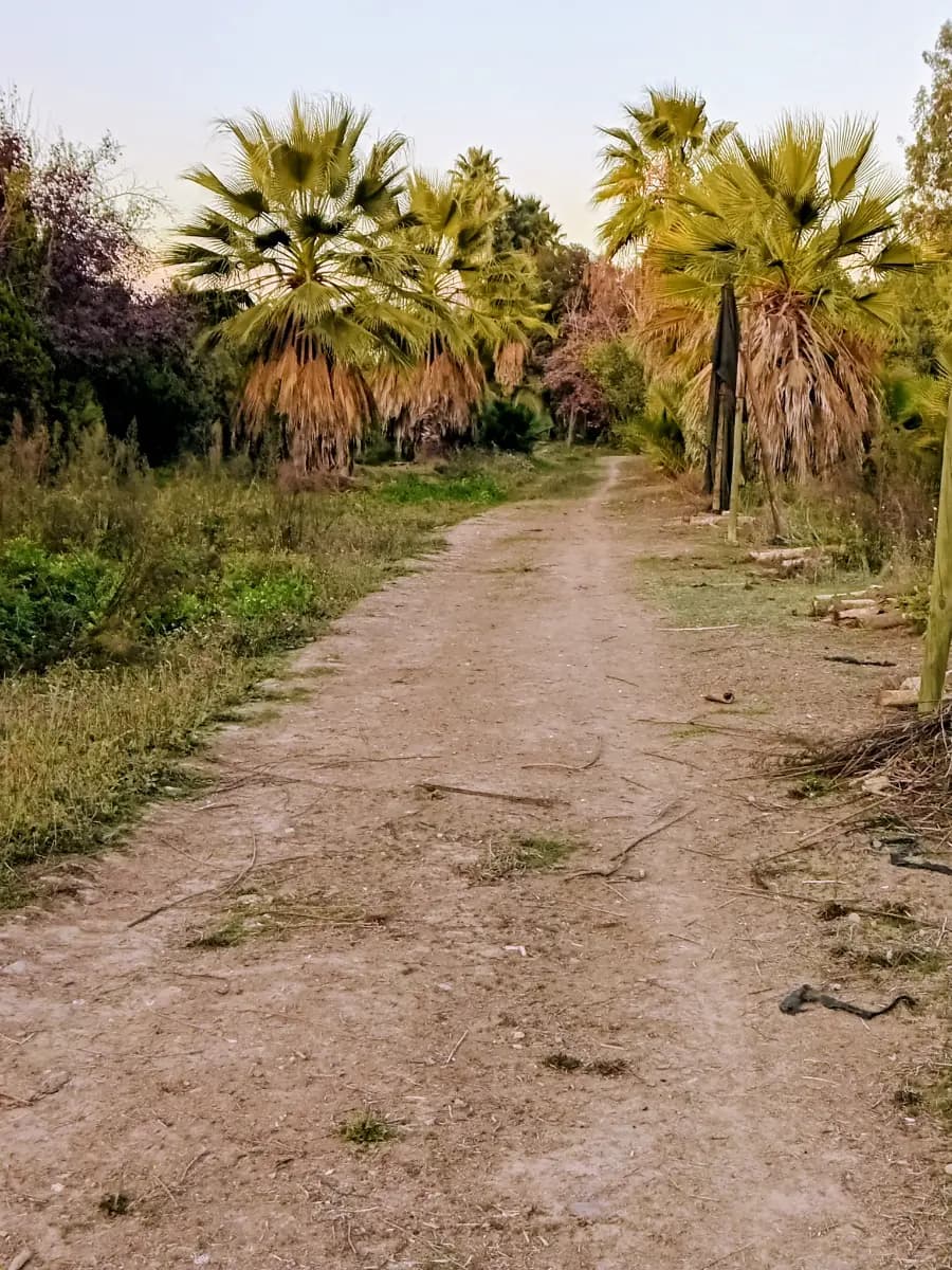 Camino Padre Hurtado 19188, San Bernardo, Región Metropolitana de Santiago 8050000, Chile