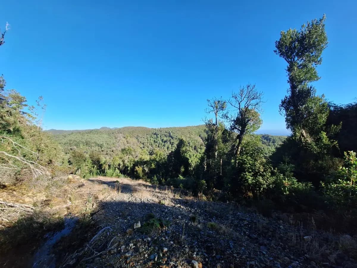 Pumillahue - Puñihuil, Ancud, Región de Los Lagos 5710000, Chile