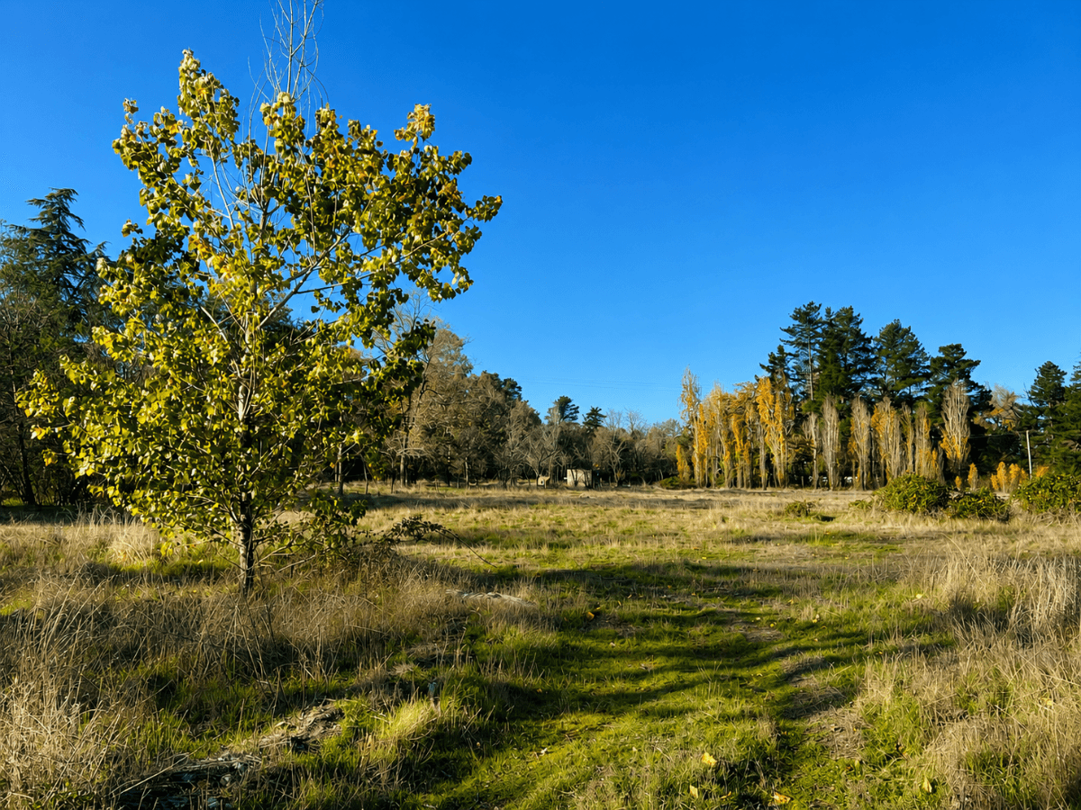 La Aguada, Yumbel, Región del Biobío, Chile