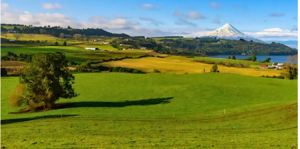 Ruta V-155, Llanquihue, Región de Los Lagos 5610000, Chile