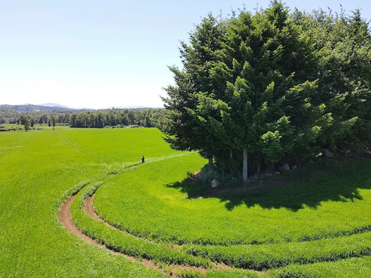 Valle Ranco