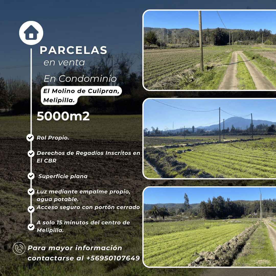 Culiprán, Melipilla, Región Metropolitana de Santiago, Chile