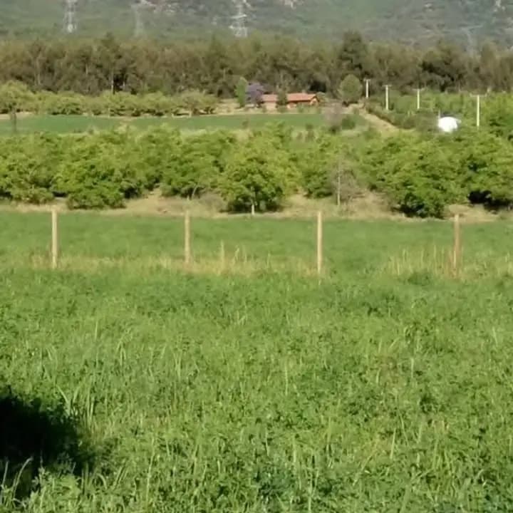 La Aparición, Paine, Región Metropolitana de Santiago 9540000, Chile