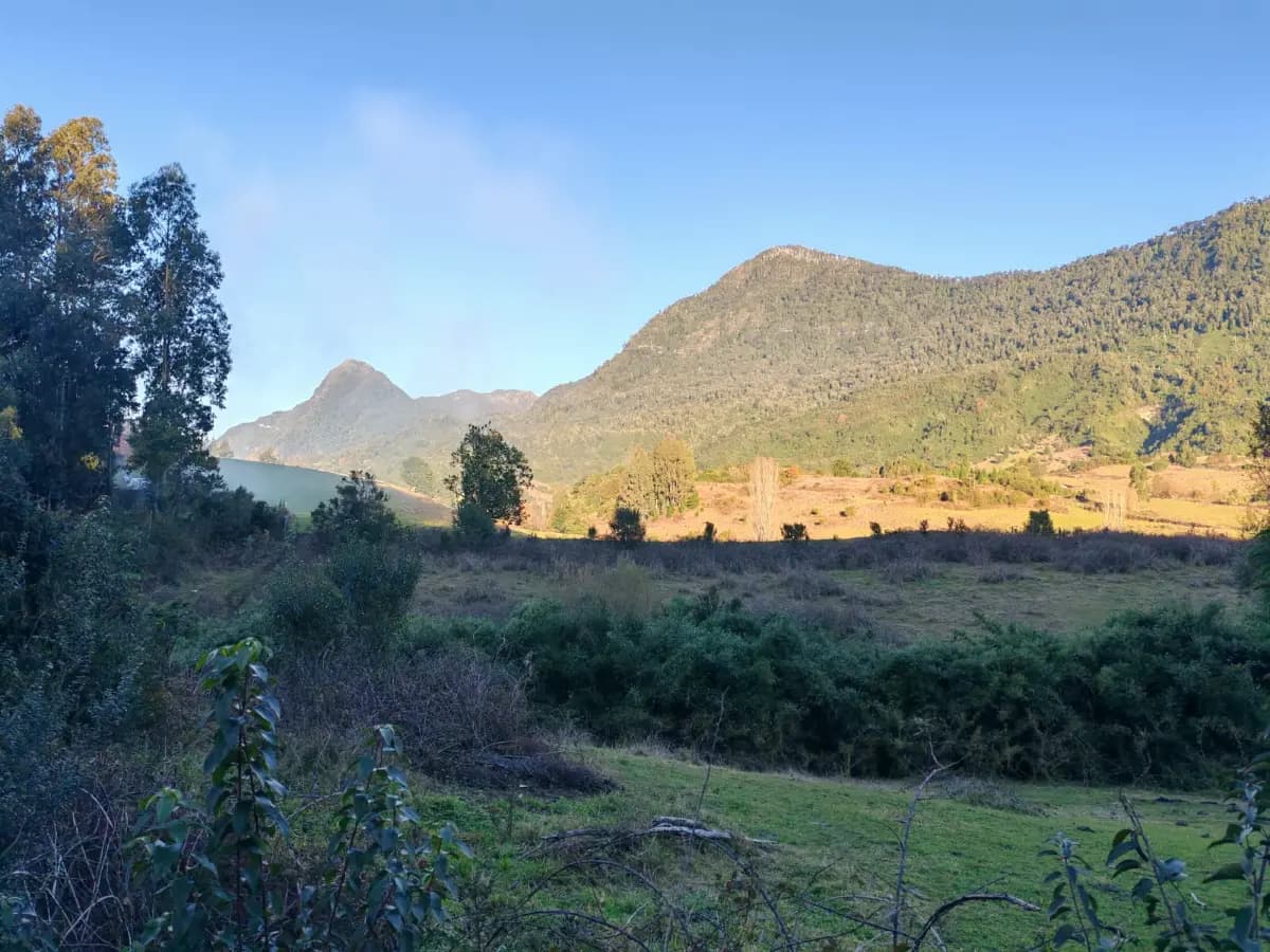 Ilihue, Lago Ranco, 5250000, Chile