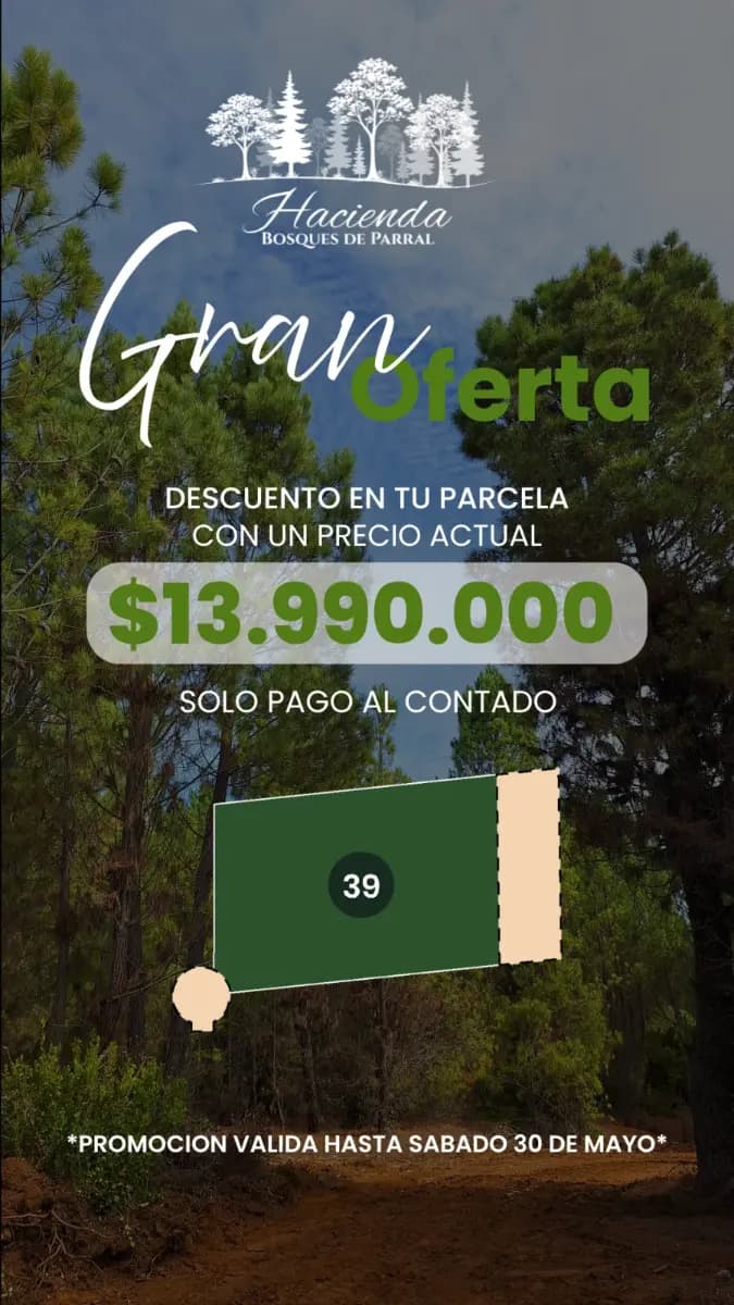 Parral, Maule, Región del Maule 3530000, Chile
