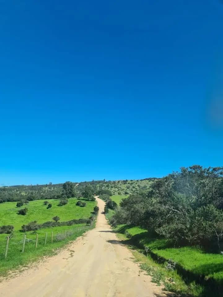 Litueche, Región de O'Higgins, Chile