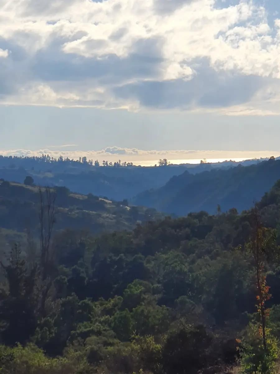 Navidad, Región de O'Higgins, Chile