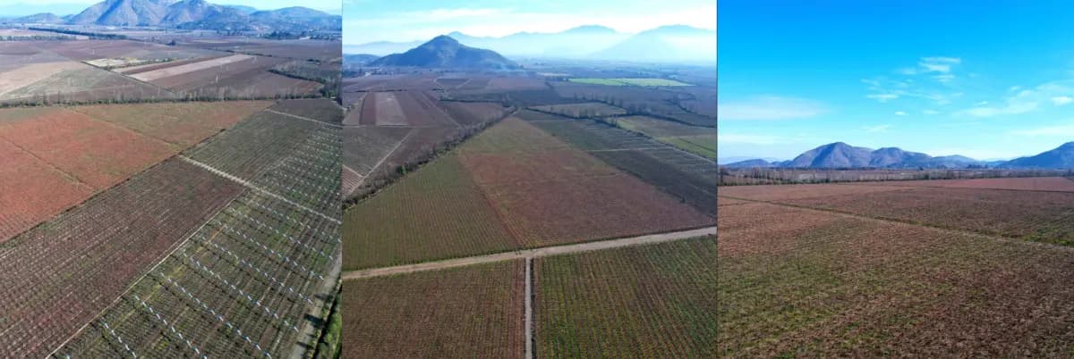 Ruta H-40, Olivar, Región de O'Higgins 2920000, Chile