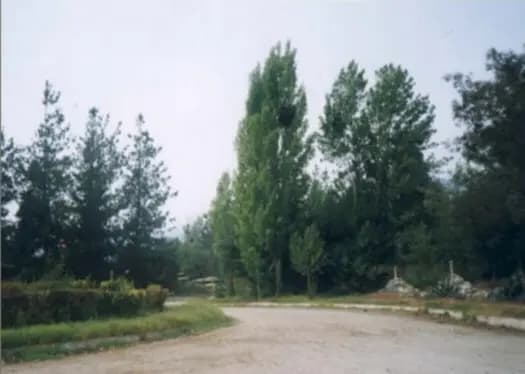 Camino de Las Flores, Pirque, Región Metropolitana de Santiago 9480000, Chile