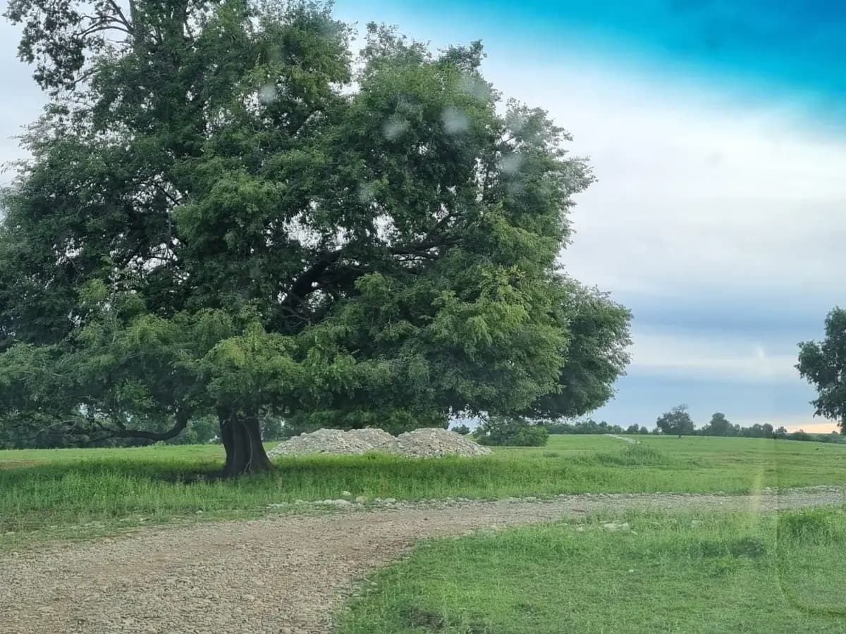 Ñiquén, Región de Ñuble, Chile