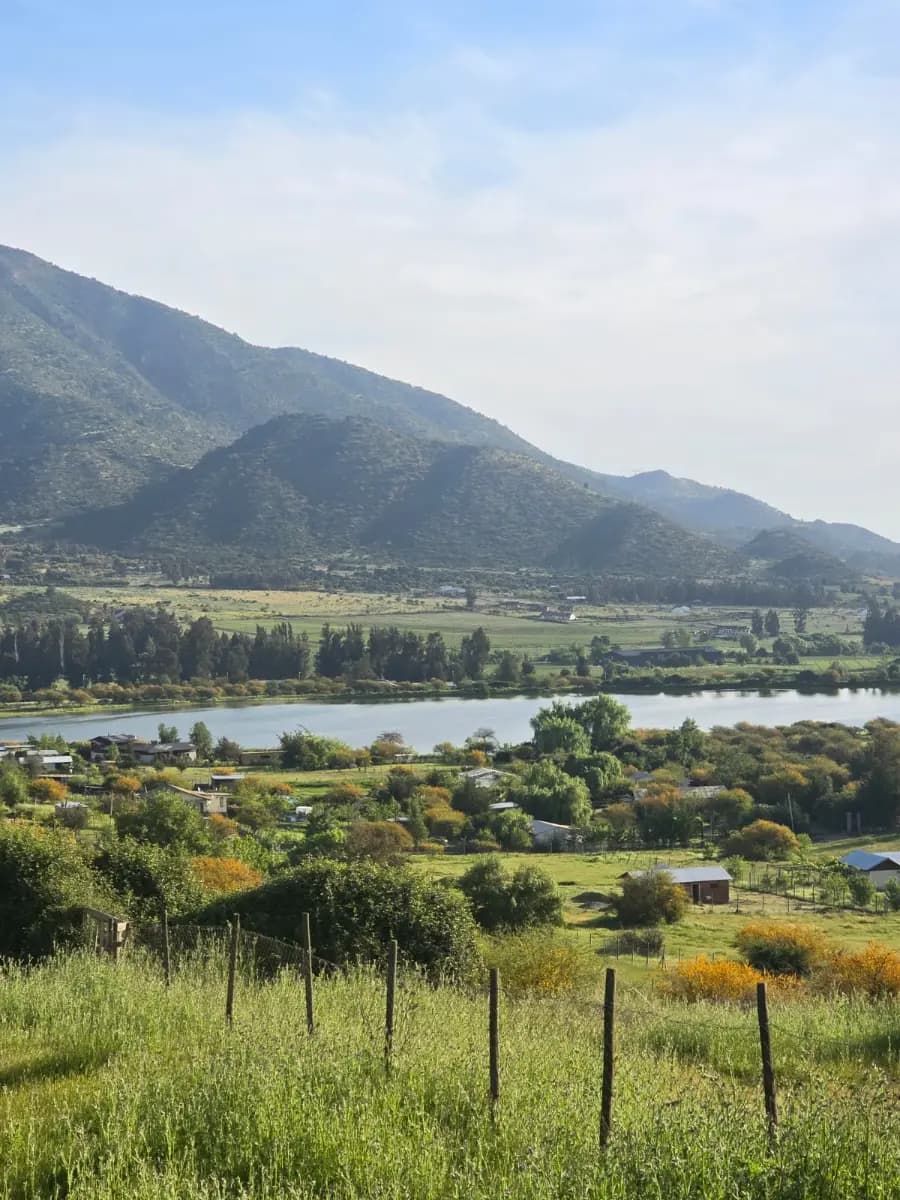 H-711, Malloa, 2950000, Chile