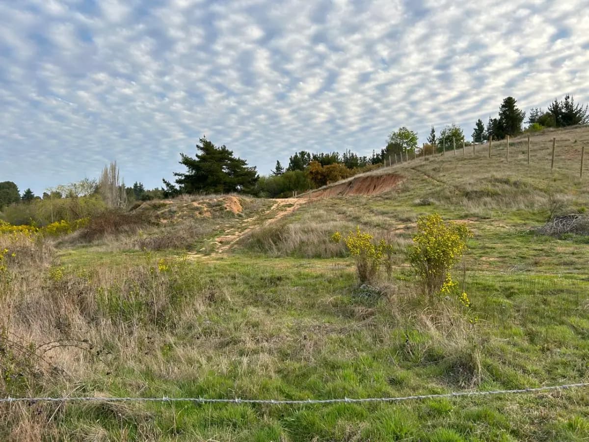 Sector San Juan de Tomeco, Yumbel, 4580000, Chile