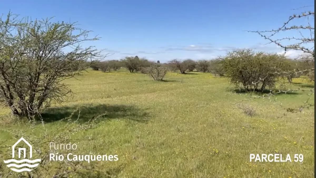 Ruta M-670, Cauquenes, Región del Maule 3690000, Chile