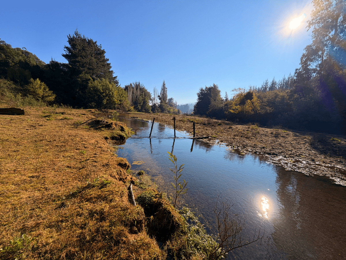 Putú, Constitución, Región del Maule, Chile