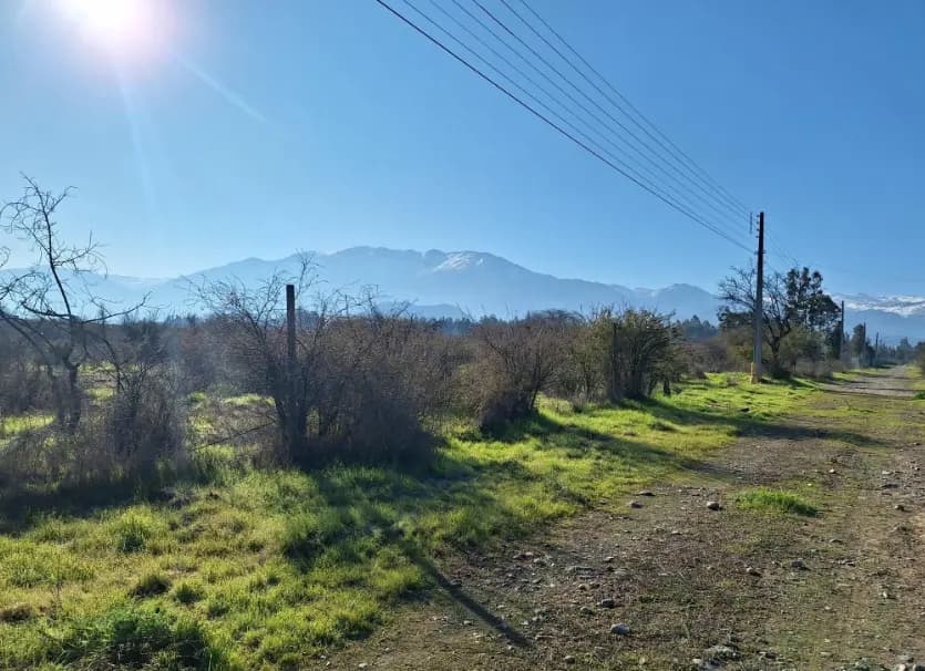 Callejon lo Amparo, Codegua, 2900000, Chile