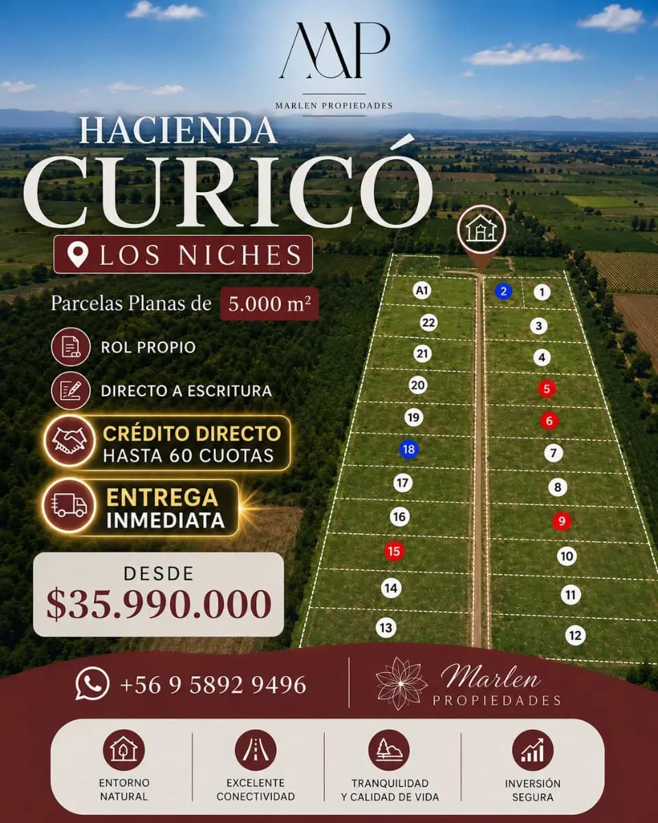 Los Niches, Curicó, Región del Maule, Chile