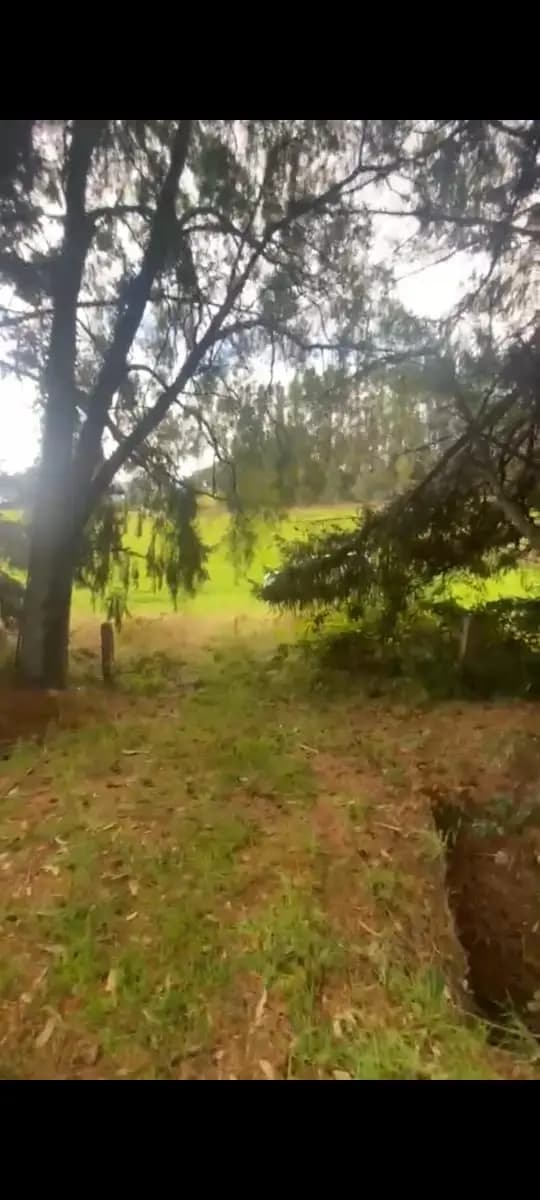 Ruta 225 CH 21, Puerto Varas, Región de Los Lagos 5550000, Chile