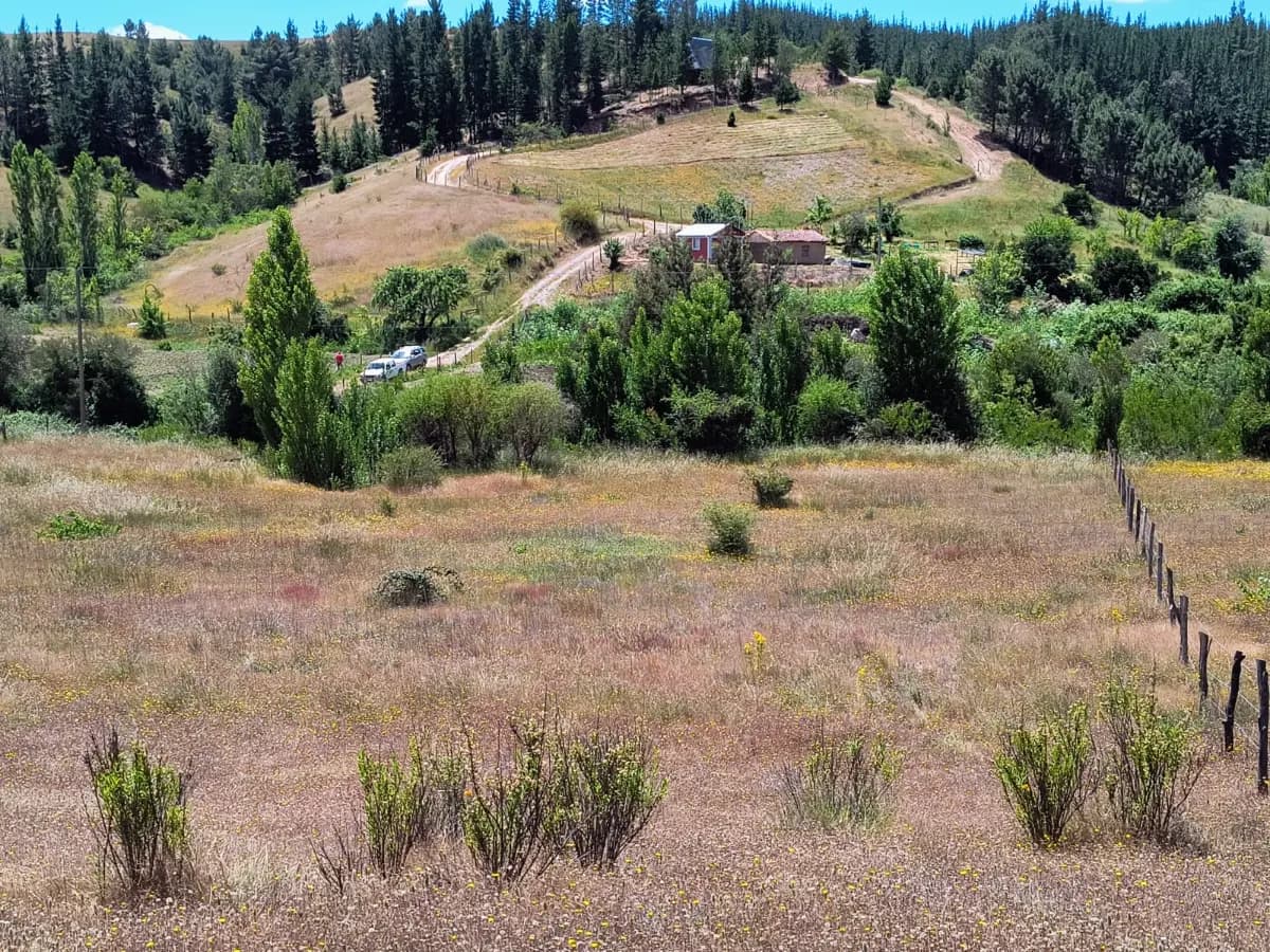 Treguaco, Región de Ñuble, Chile