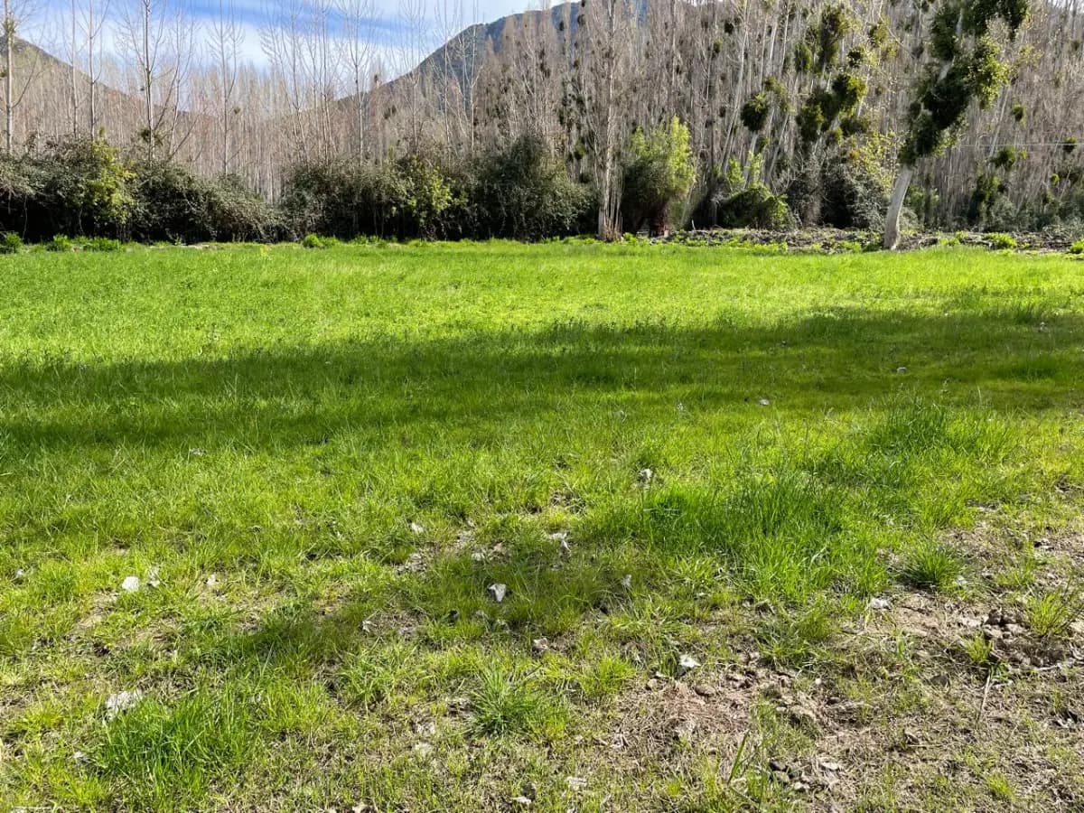 Idahue, Coltauco, Región de O'Higgins, Chile